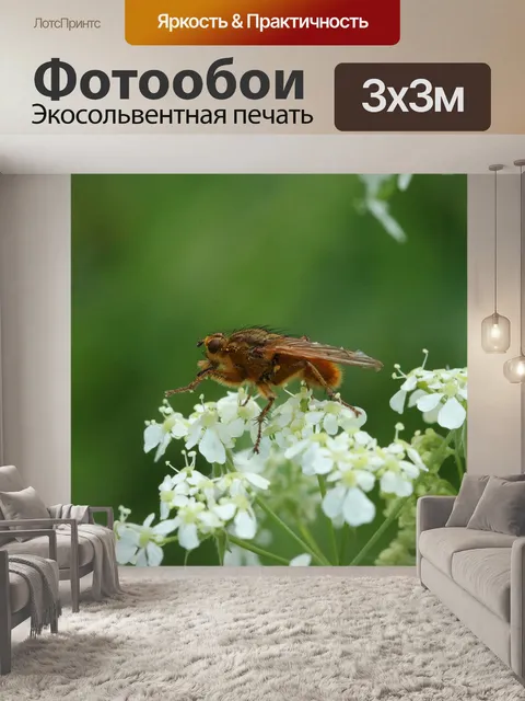 Фотообои Летать