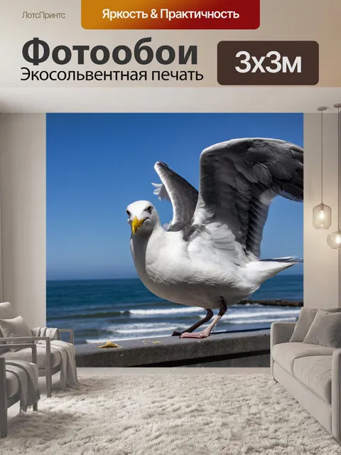 Фотообои чайка