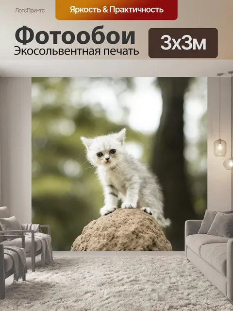 Фотообои Кошки