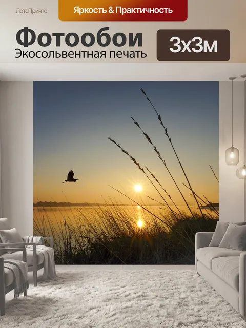 Фотообои Птицы в полете