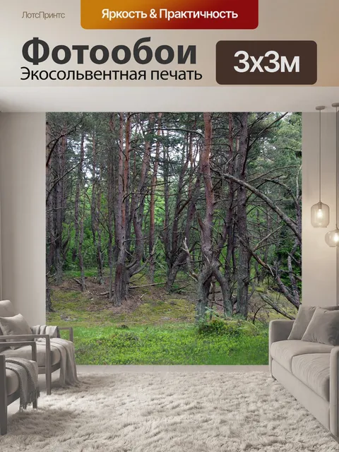 Фотообои Деревья