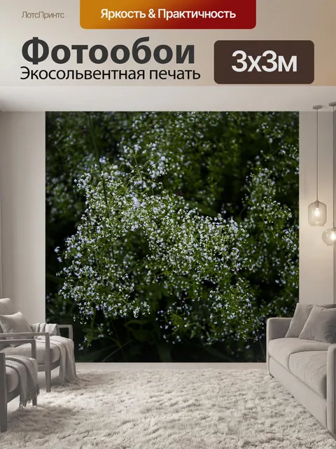 Фотообои Куст