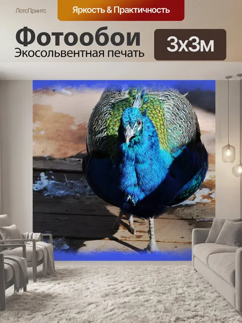 Фотообои Павлин в снегу