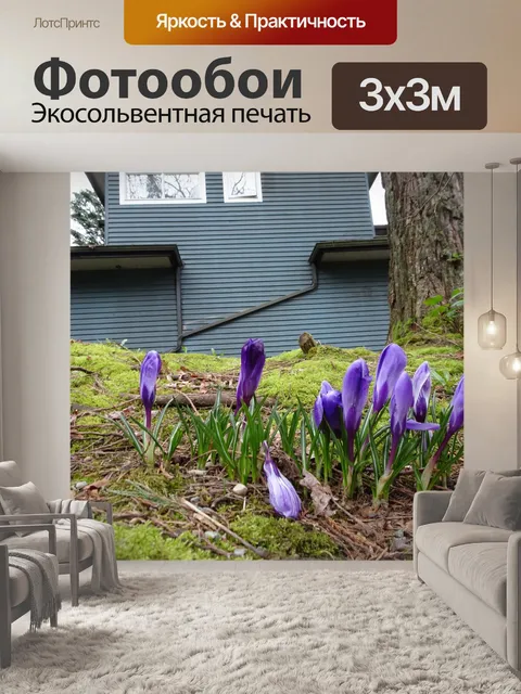 Фотообои фиолетовые цветы 2