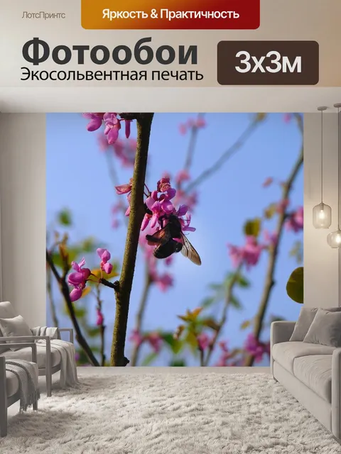 Фотообои Цветы