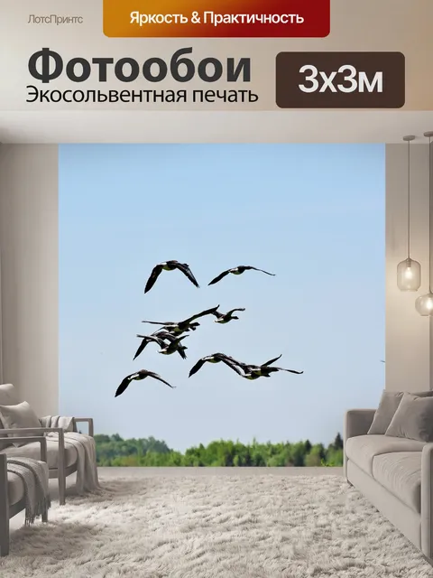 Фотообои Гусь