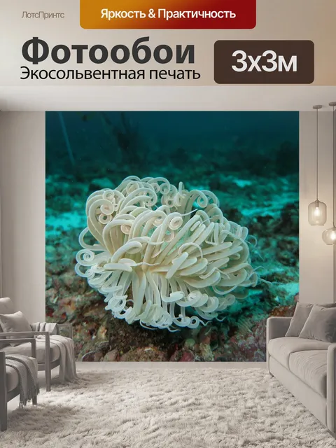 Фотообои Анемон
