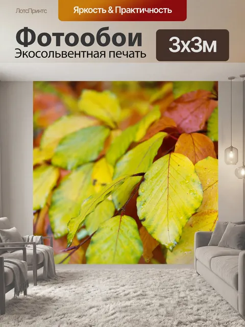 Фотообои листья бука модель