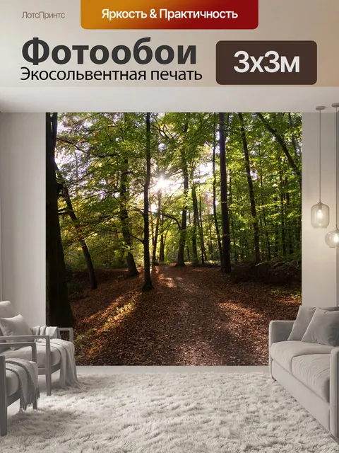 Фотообои Лес