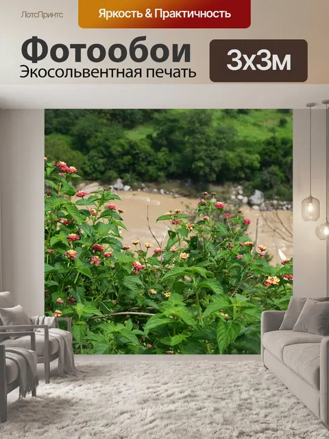 Фотообои Цветы