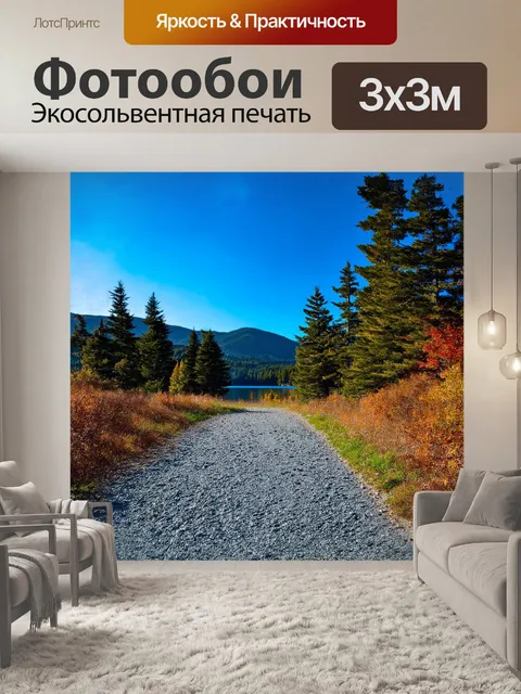 Фотообои тропа из гравия, огражденная старыми елями, ведет к озеру, отражающему яркое голубое небо