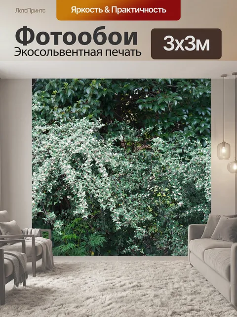Фотообои живая изгородь с длинными ветками