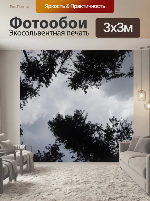 Фотообои Глядя сквозь деревья