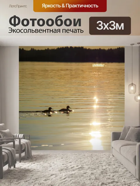 Фотообои Птицы