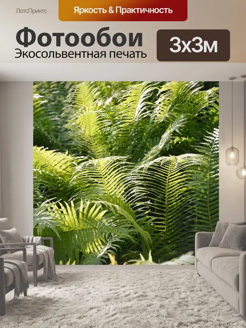 Фотообои Папоротники