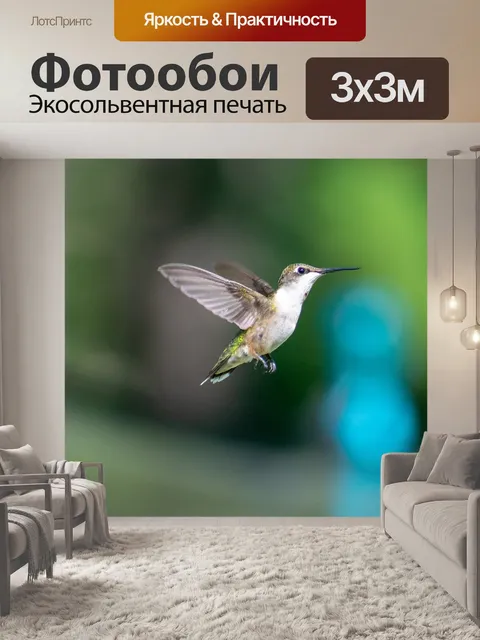 Фотообои Птица