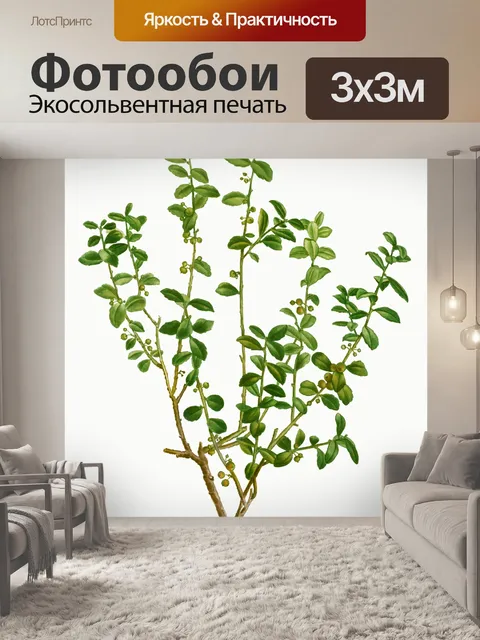Фотообои Завод прозрачный искусство винтаж
