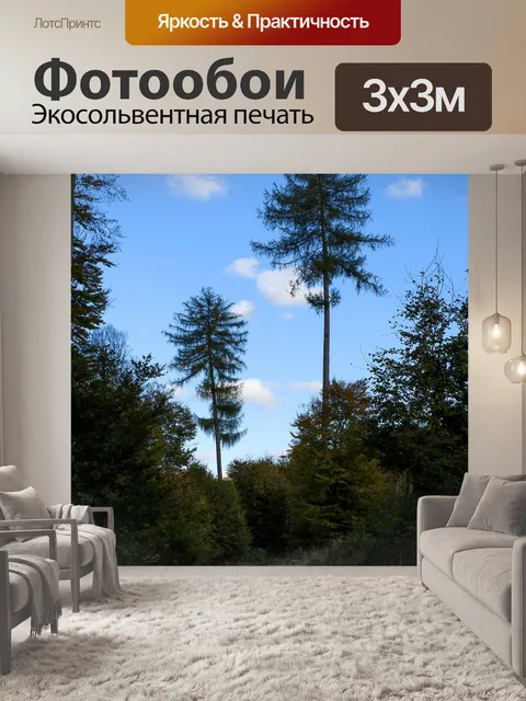 Фотообои Лес