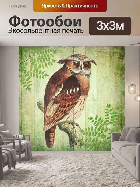 Фотообои Винтажная сова