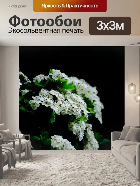 Фотообои Цветок
