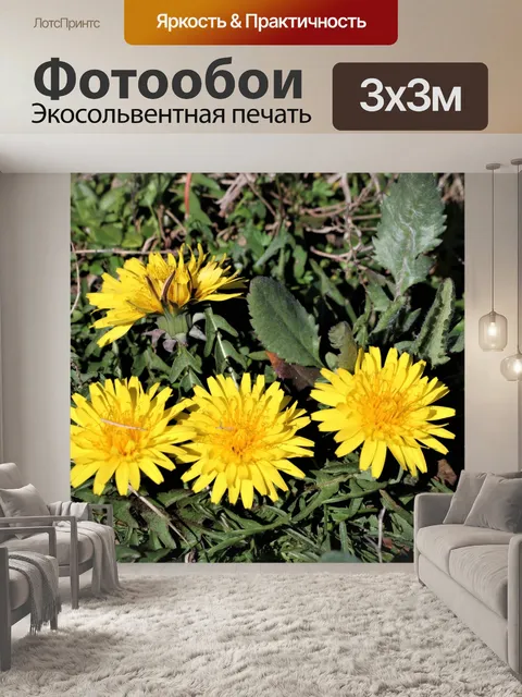Фотообои Одуванчик Цветочные головки в траве