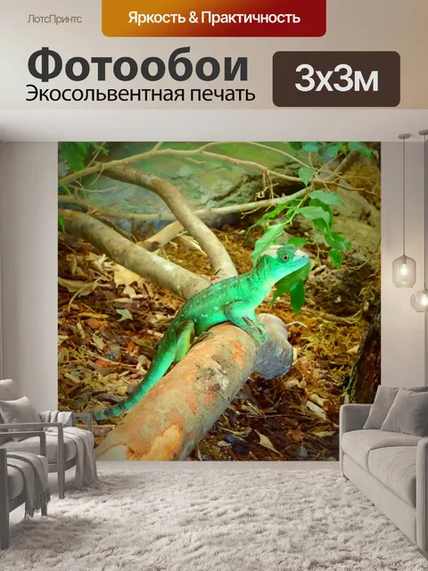 Фотообои Экзотика