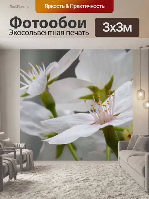 Фотообои Цветы