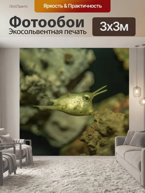 Фотообои Рыбы