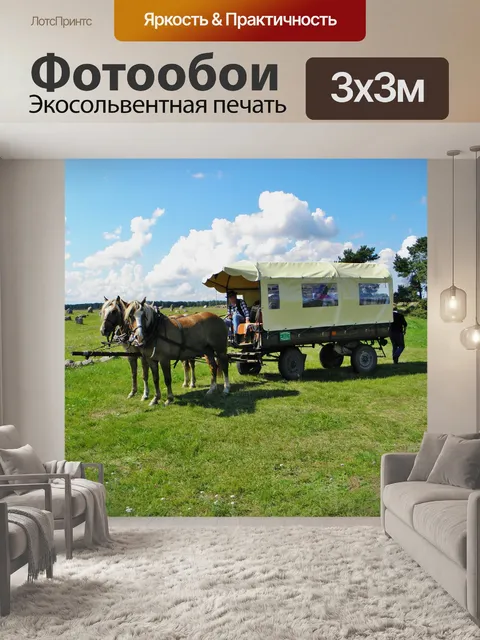 Фотообои Лошади