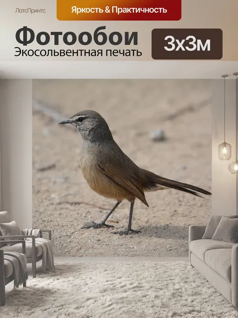 Фотообои Птица