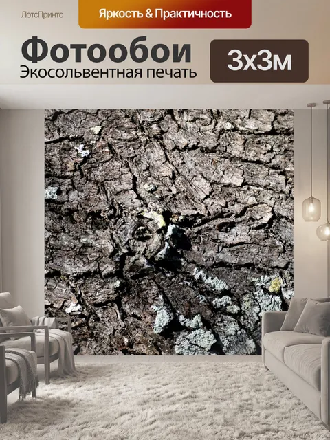 Фотообои Фон дерева коры