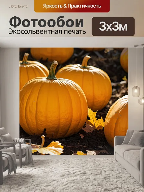 Фотообои крупный план желтых тыкв в осеннем саду, освещенных мягким солнечным светом