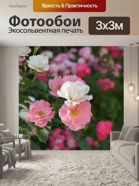 Фотообои Розы