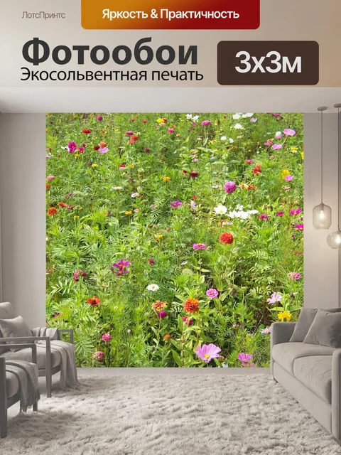 Фотообои Полевые цветы