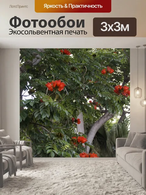 Фотообои Тюльпанное дерево