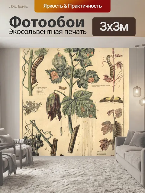 Фотообои Папийон бабочка винтаж старый