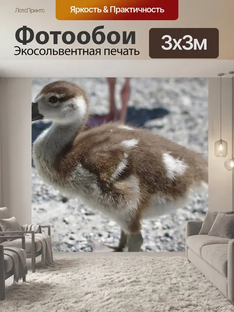 Фотообои Гусь