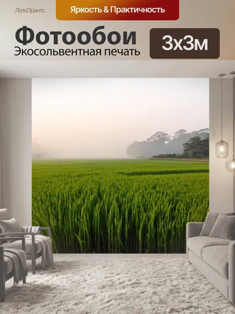 Фотообои япония, утренний туман над рисовыми полями, сквозь который пробивается свет солнца