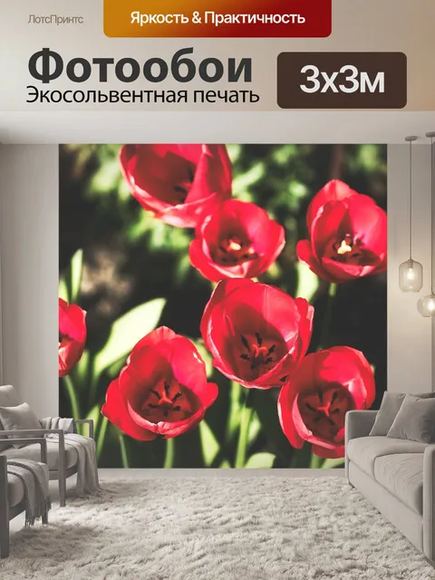 Фотообои Тюльпаны