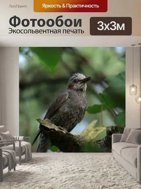 Фотообои Животное