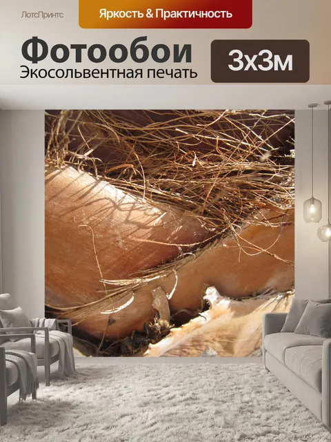 Фотообои Закрывать