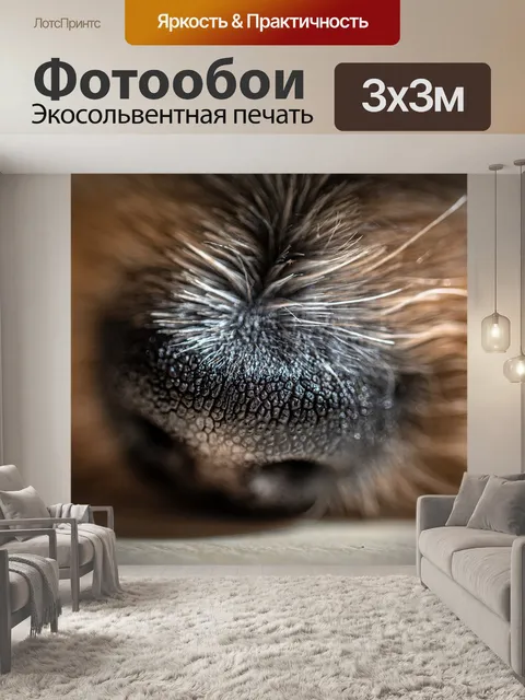 Фотообои Собака
