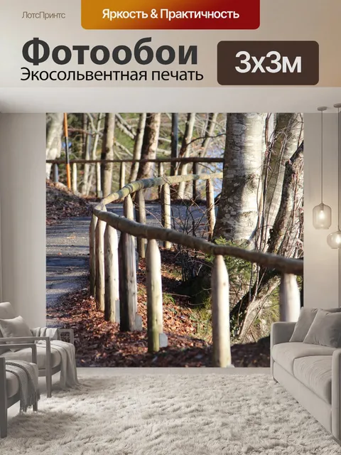 Фотообои Дорожка