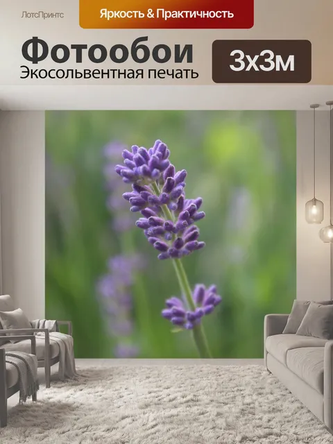 Фотообои Лаванда