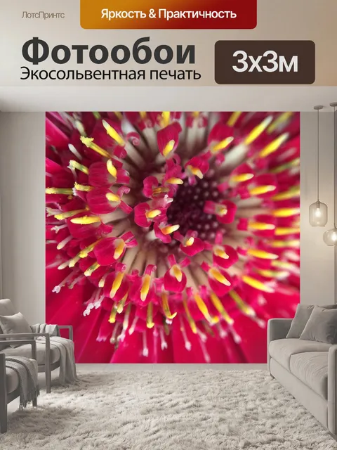 Фотообои Цветок