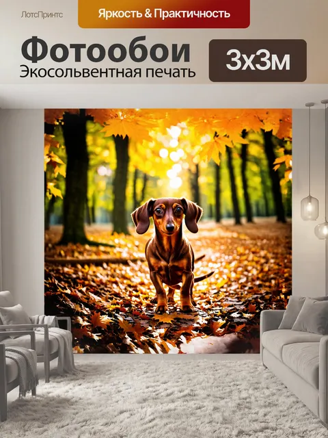 Фотообои коричневая жесткошерстная такса весело исследует осенний лес, по земле рассыпаны яркие листья