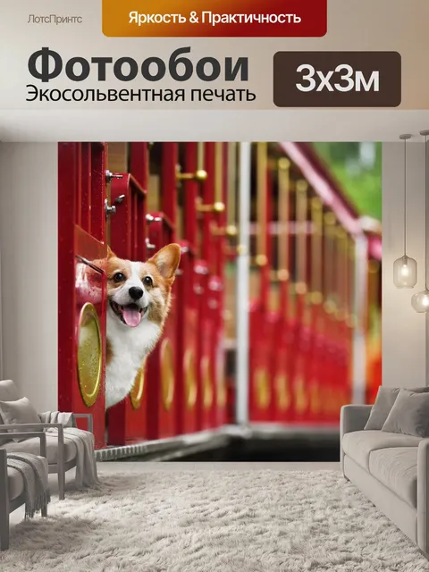 Фотообои Домашние животные