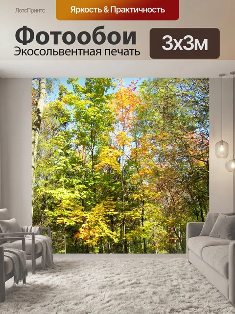 Фотообои Осенние деревья