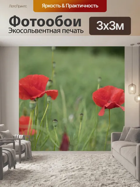 Фотообои Красный мак