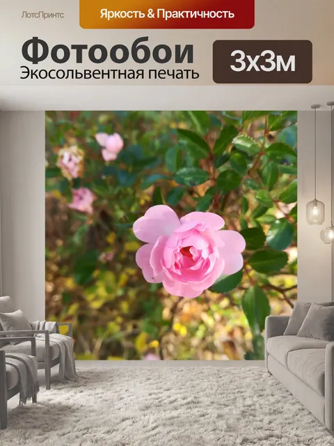 Фотообои Розы